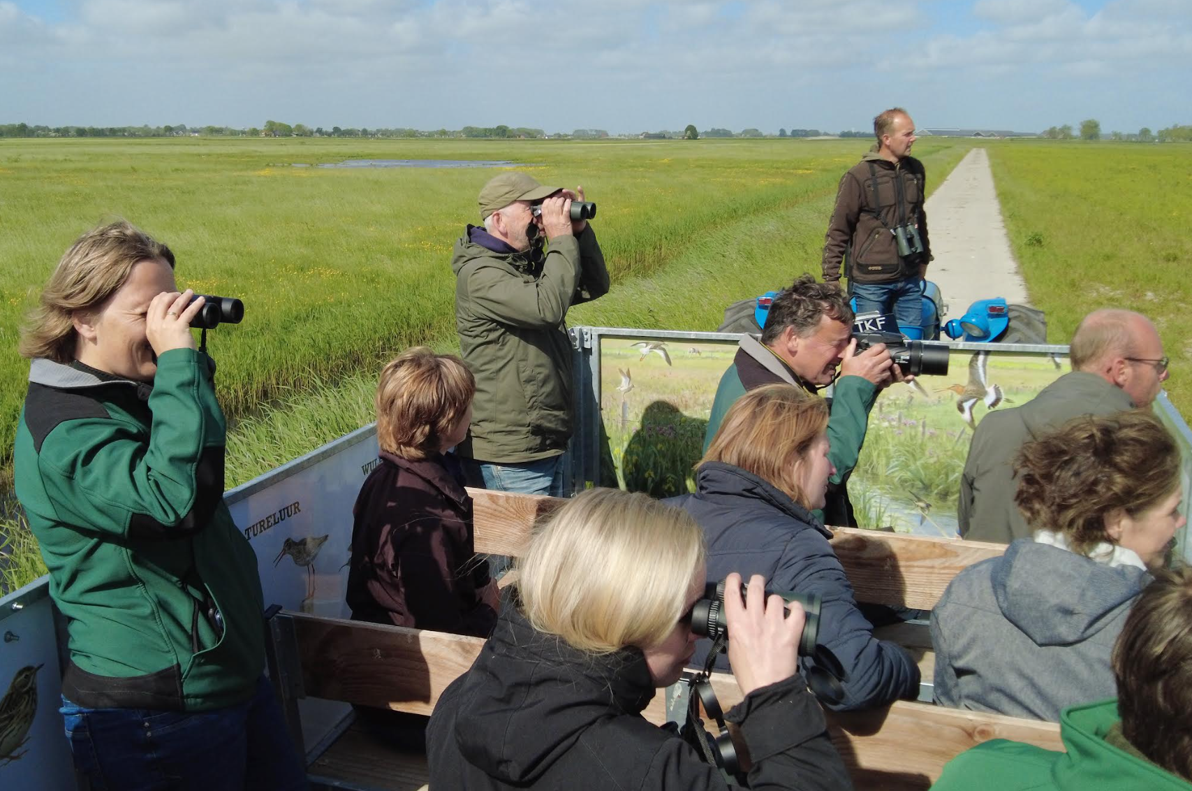 Weidevogels